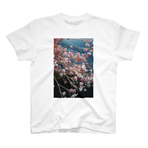 霞草 スタンダードTシャツ