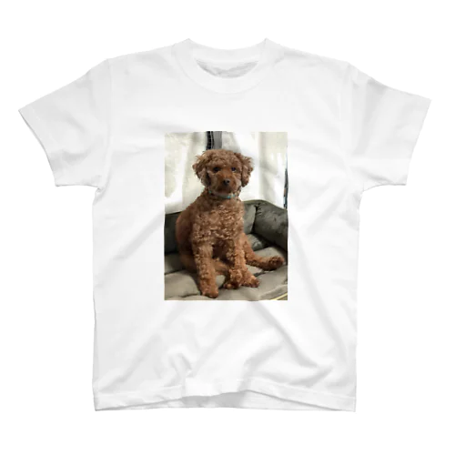 うちの犬 Regular Fit T-Shirt