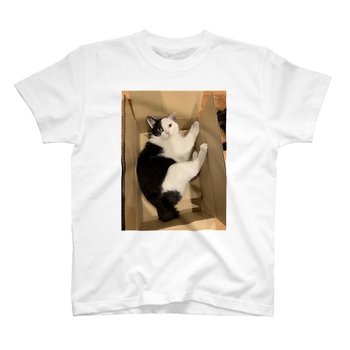 猫はやっぱり。。。 Regular Fit T-Shirt