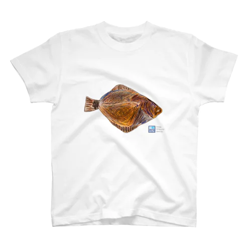 美浜食用魚類水族館　カレイ スタンダードTシャツ