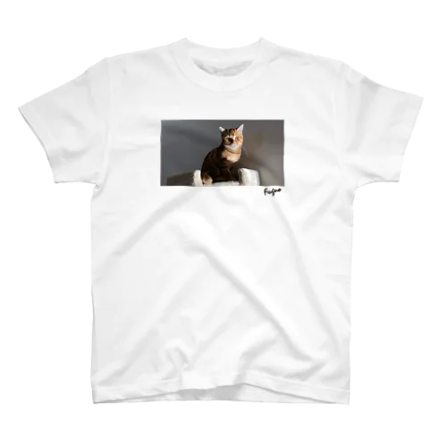 光と猫 Regular Fit T-Shirt
