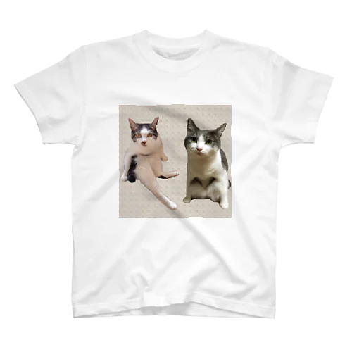 ヘンな座り方の兄妹猫 スタンダードTシャツ