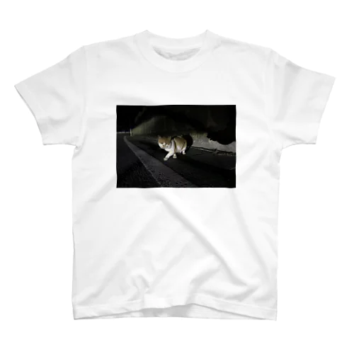 夜の猫 スタンダードTシャツ
