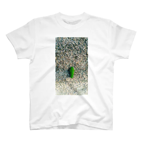 アゲハチョウの幼虫 スタンダードTシャツ