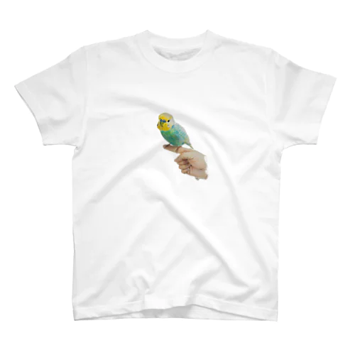 セキセイインコのゆっさんデッサン スタンダードTシャツ