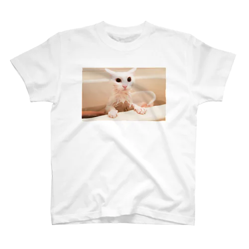 ぬれた猫 Regular Fit T-Shirt