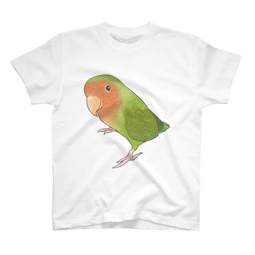 見つめるコザクラインコちゃん【まめるりはことり】 スタンダードTシャツ