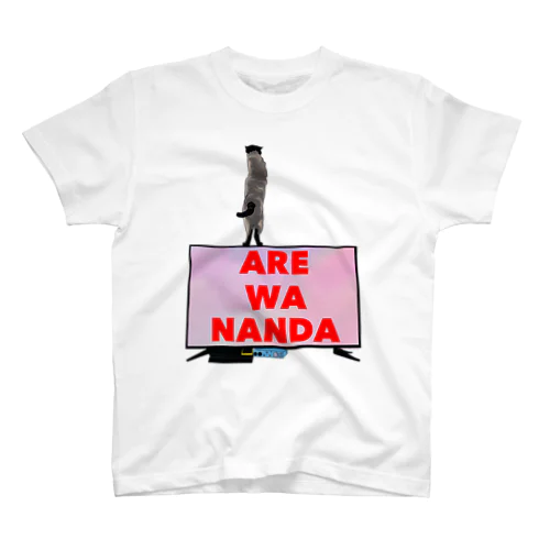 W-001 ARE WA NANDA スタンダードTシャツ