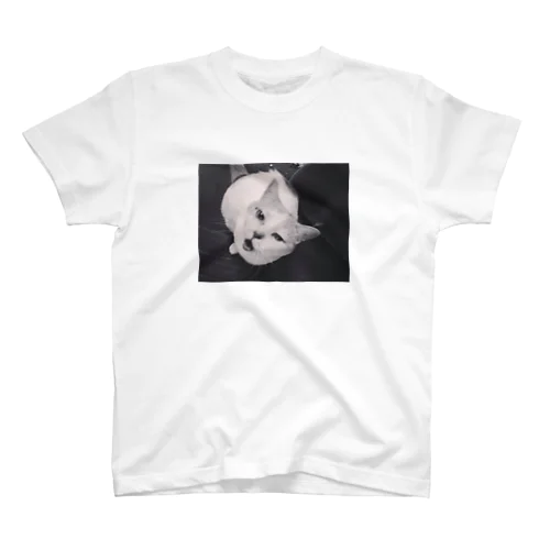 cat Regular Fit T-Shirt