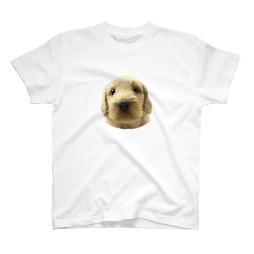 ゴールデンドゥードルA　子犬 スタンダードTシャツ