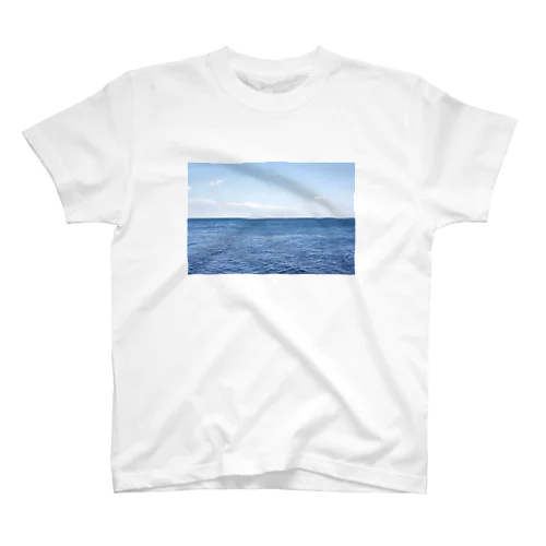 猿島から見た海やで スタンダードTシャツ