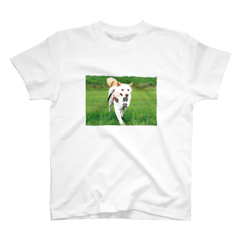 勝訴犬 スタンダードTシャツ