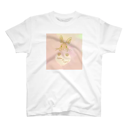 Cadeau de Lapin Regular Fit T-Shirt