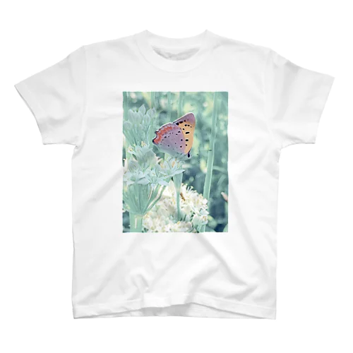 ベニシジミとニラの花 Regular Fit T-Shirt