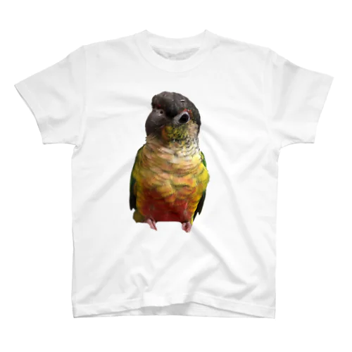 インコ Regular Fit T-Shirt