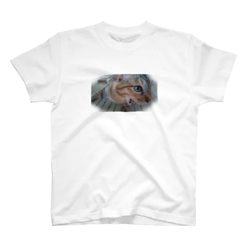 キジトラ猫シャーシャー Regular Fit T-Shirt