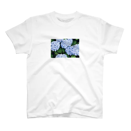 紫陽花 スタンダードTシャツ