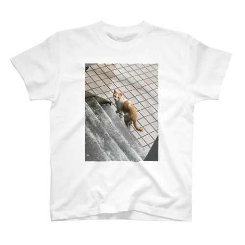 玄関先の知らん猫 Regular Fit T-Shirt