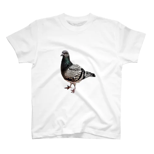 The 鳩 スタンダードTシャツ