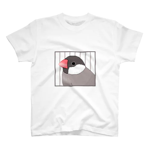 文鳥 スタンダードTシャツ