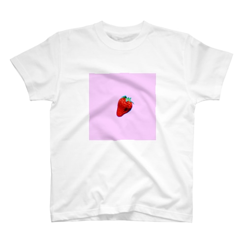 icg Regular Fit T-Shirt