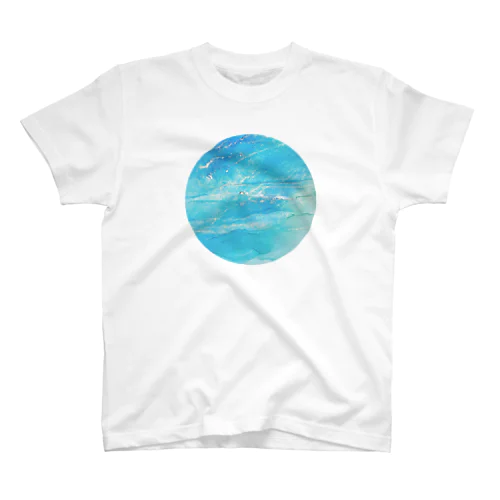 Earth Regular Fit T-Shirt