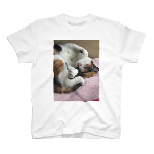 愛猫モモ Regular Fit T-Shirt