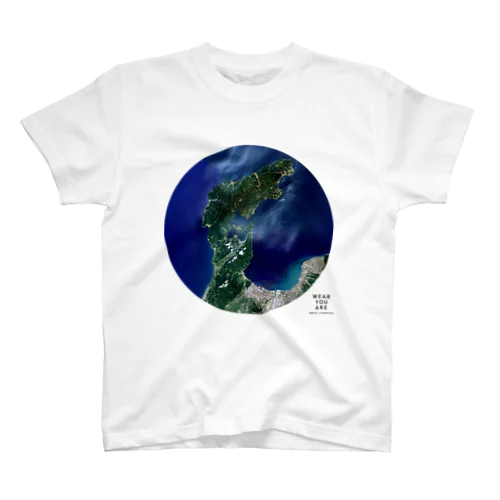 石川県 七尾市 Tシャツ スタンダードTシャツ