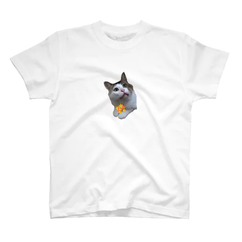 紅葉くれるねこ Regular Fit T-Shirt
