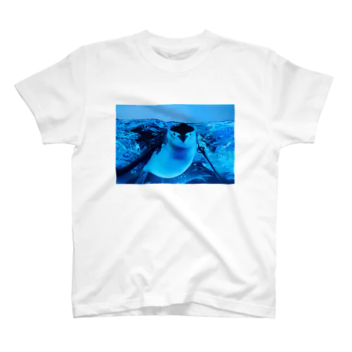 ヒゲペンギン　写真　リアル スタンダードTシャツ