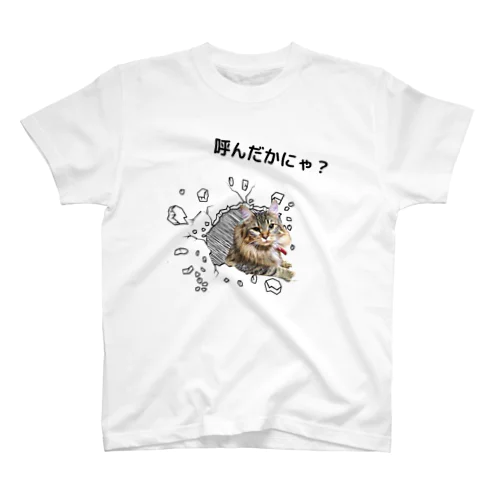 メス猫ひめちゃんの日常１ スタンダードTシャツ