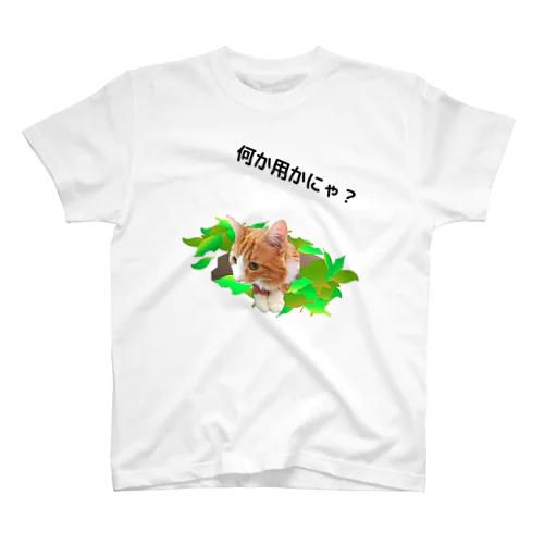 オス猫みーちゃんの日常１ スタンダードTシャツ