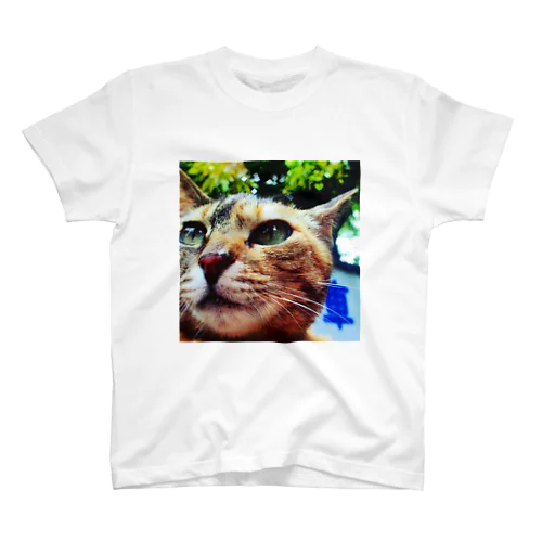 公園猫　 Regular Fit T-Shirt