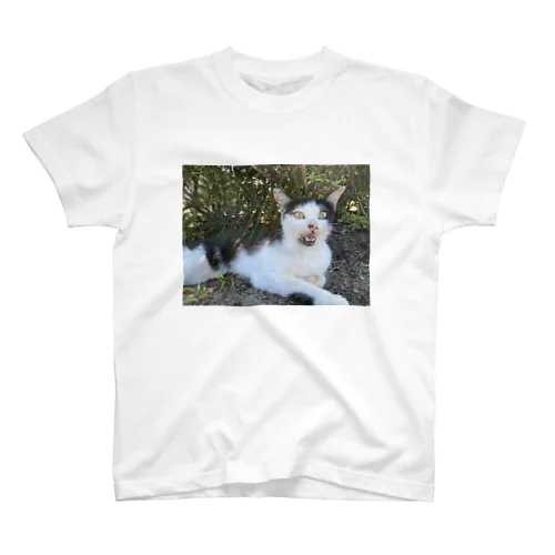 かいねこ Regular Fit T-Shirt