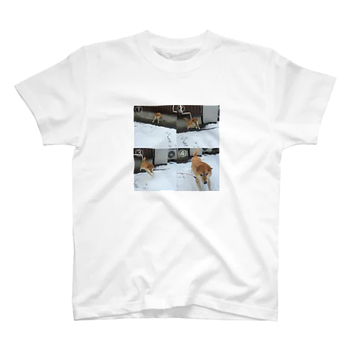 4こま柴 Regular Fit T-Shirt