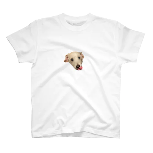 犬５ Regular Fit T-Shirt