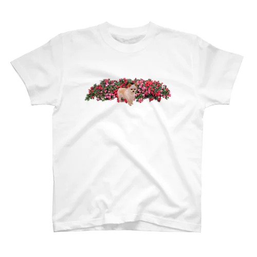 赤いお花とぽっけ Regular Fit T-Shirt