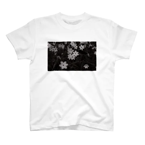 Ipheion ( rusted ) スタンダードTシャツ