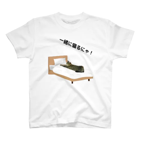 メス猫ひめちゃんの日常２ Regular Fit T-Shirt