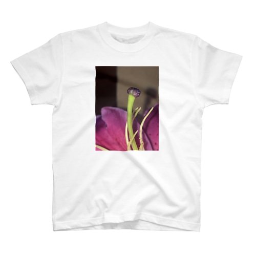 雌蕊 Regular Fit T-Shirt