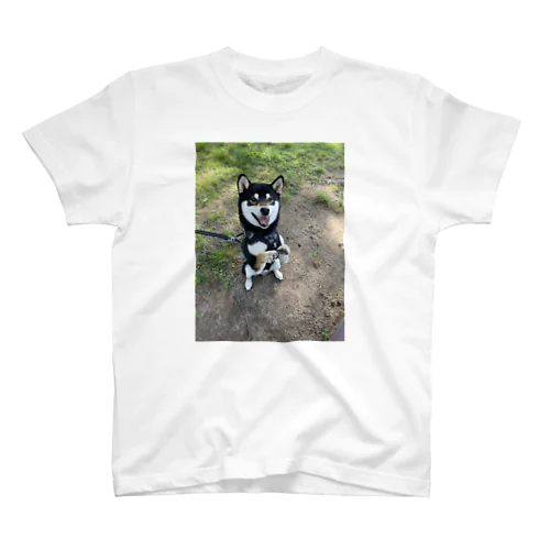 shibainu2 スタンダードTシャツ