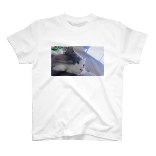 たそがれねこ スタンダードTシャツ