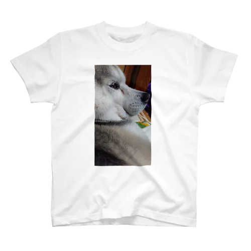 お餅犬 Regular Fit T-Shirt