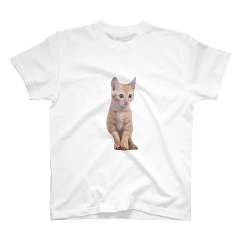 子猫時代 スタンダードTシャツ