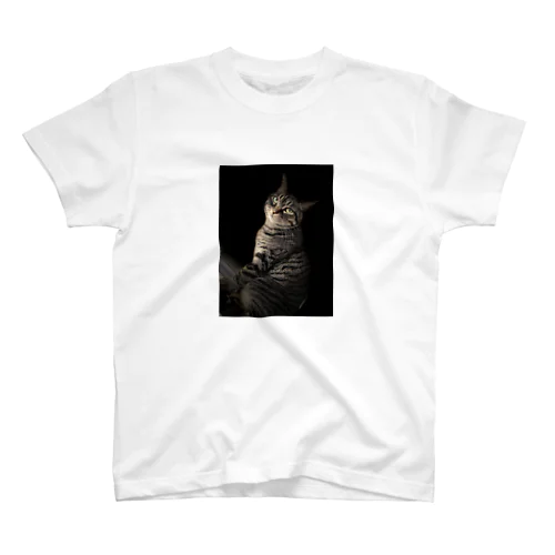 COOL CAT! Regular Fit T-Shirt