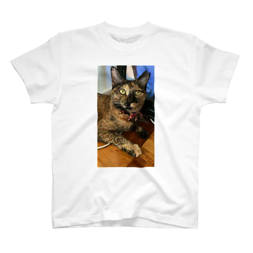 サビ猫さびちゃん Regular Fit T-Shirt