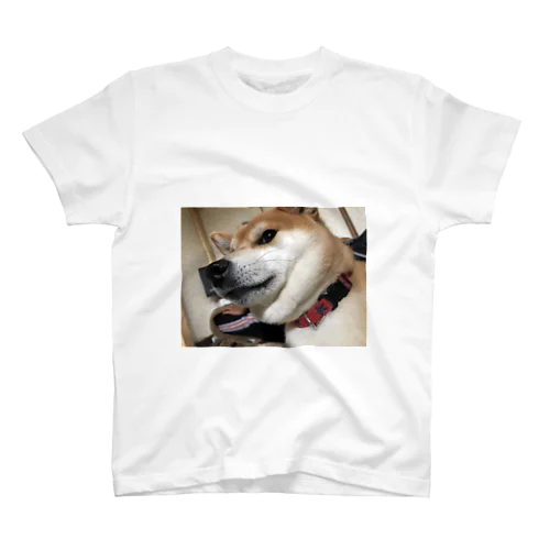 うちの犬の顎と飼い主の足 スタンダードTシャツ