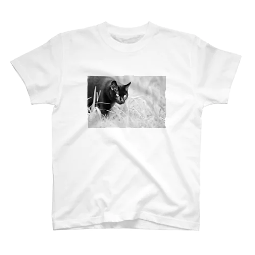 のっしのっし歩く猫ちゃん Regular Fit T-Shirt