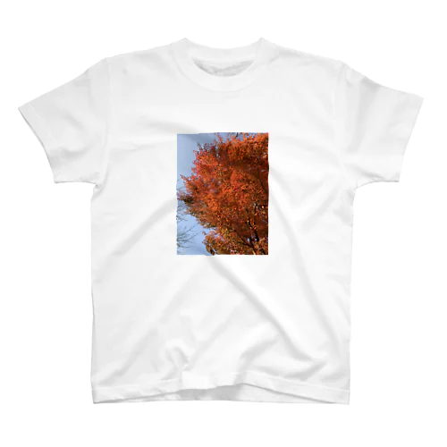 紅葉/秋のアイテム Regular Fit T-Shirt