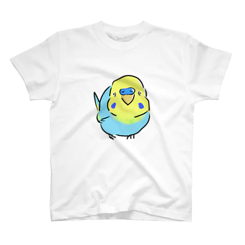 まんまるセキセイインコ　レインボー　点目Ver スタンダードTシャツ